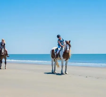 Big Sky Oceanview Retreat - Sleeps 6 * Drumaville