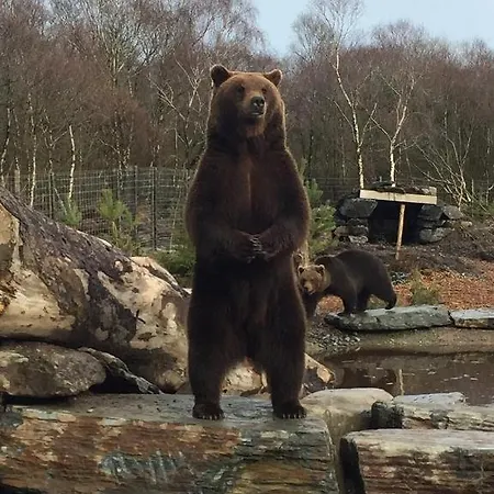 Big Sky Oceanview Retreat - Sleeps 6 * Drumaville