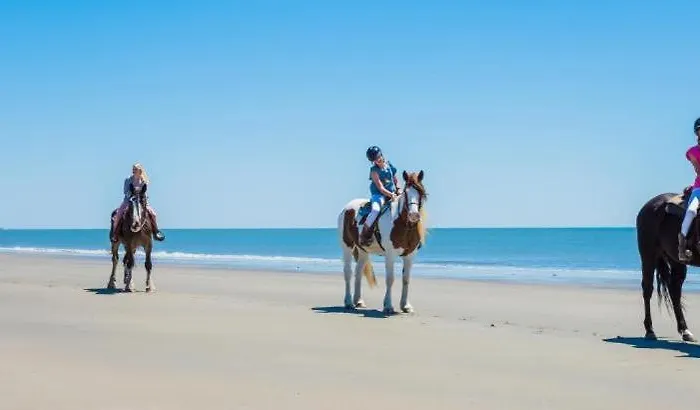 Big Sky Oceanview Retreat - Sleeps 6 * Drumaville