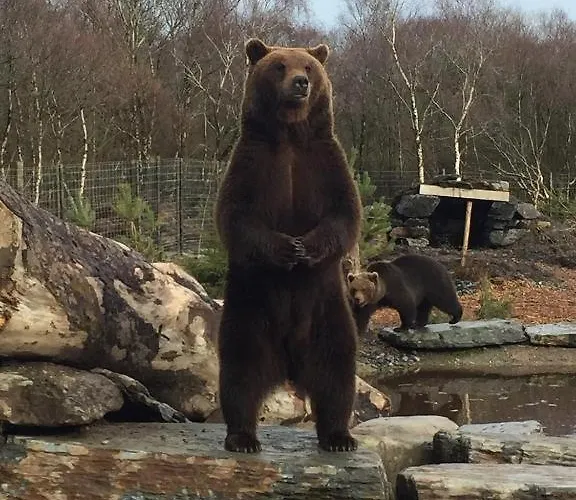 Big Sky Oceanview Retreat - Sleeps 6 * Drumaville